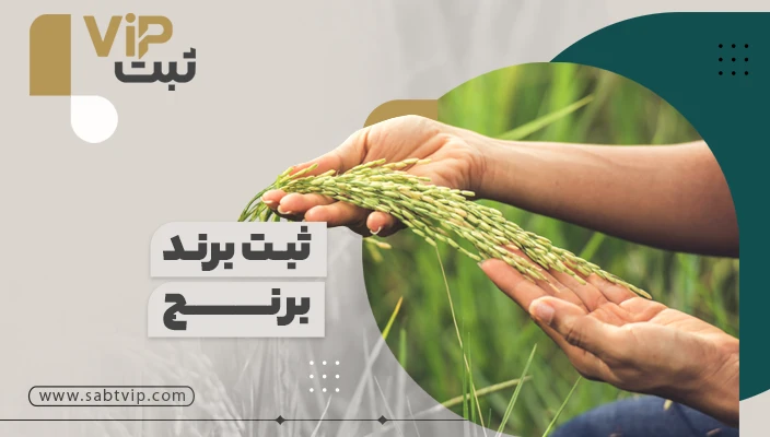 ثبت برند برنج چقدر زمان می برد؟